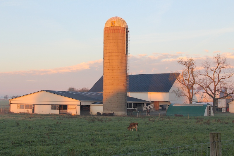 Miller Farm Silo