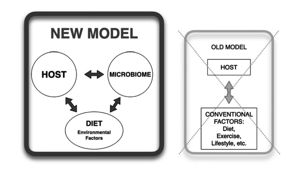 gut health diagram