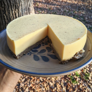 Pemmican Crust Raw Panna Cotta