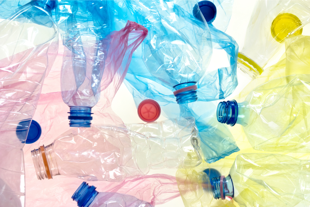Living in the “Plasticene”: The Plastic Age