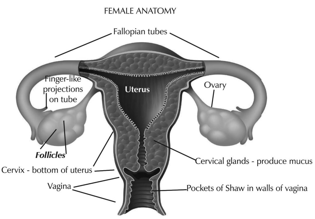 Spring2016-fertility-fig1