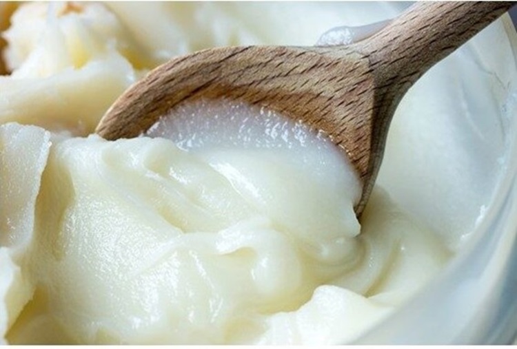 ¿Cuál es la grasa tradicional de Italia? Una mirada histórica al uso de aceite de oliva y manteca de cerdo en la península