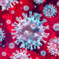 Protect Yourself from the Coronavirus (or Any Virus)