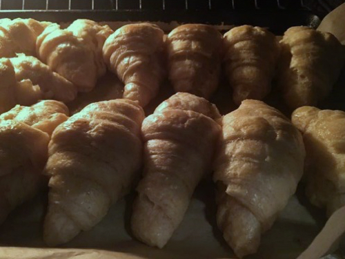 Sourdough Croissants