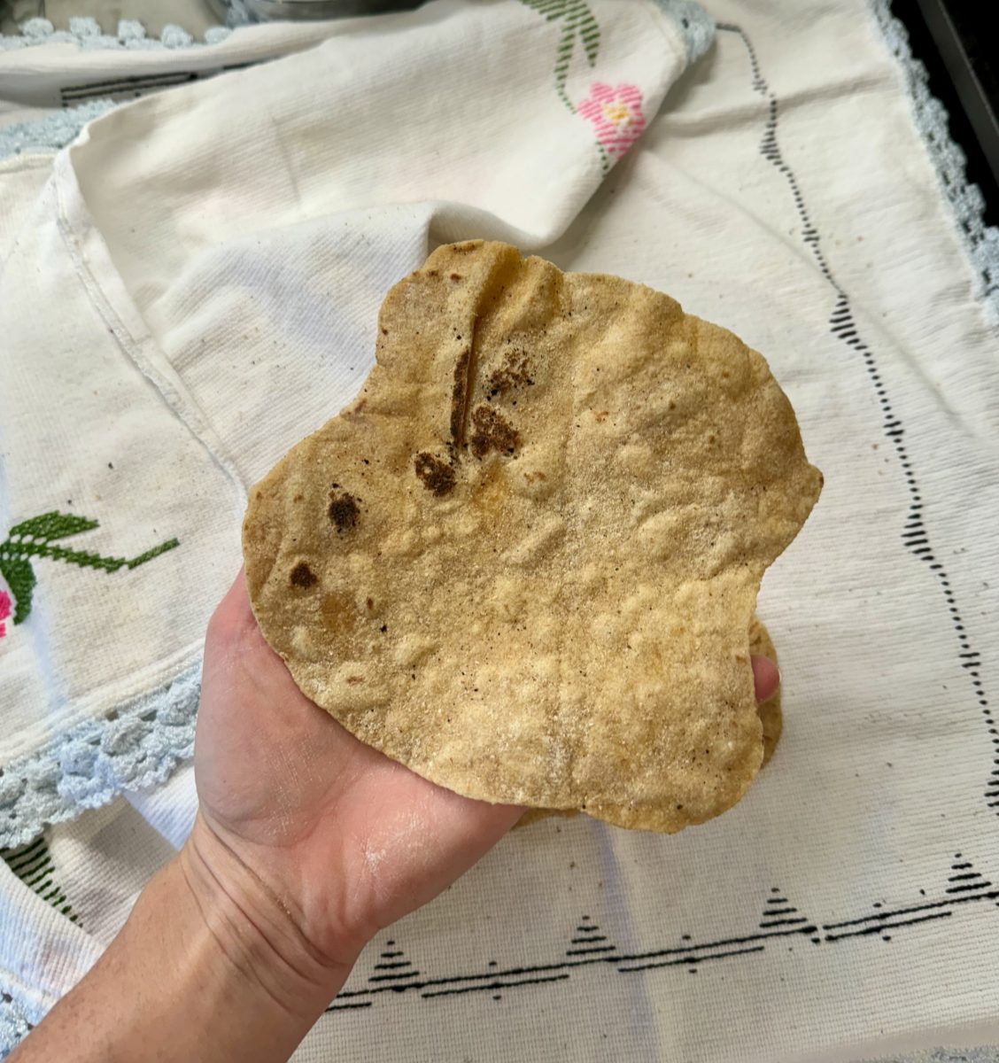 Fermented Einkorn Flour Tortillas