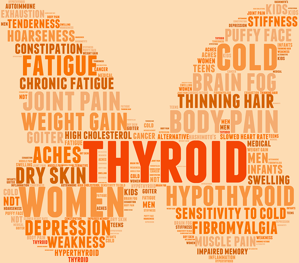 A Primer on the Thyroid
